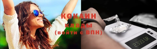 твердый Няндома