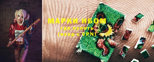 твердый Няндома