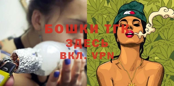 твердый Няндома