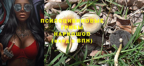 твердый Няндома