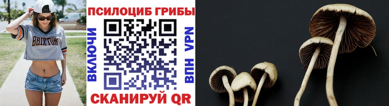 Галлюциногенные грибы ЛСД  наркошоп  Ардатов 