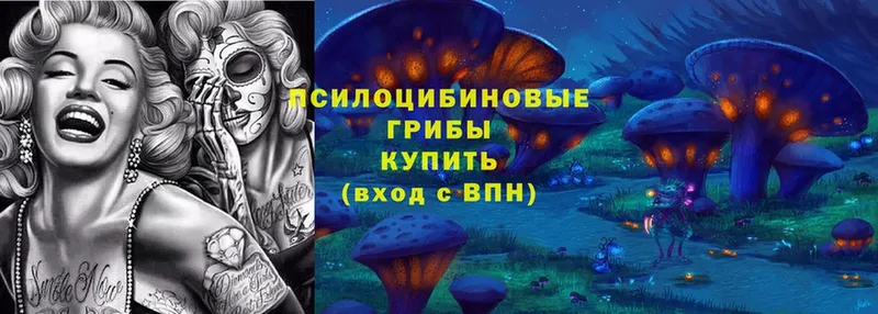 Псилоцибиновые грибы MAGIC MUSHROOMS Ардатов